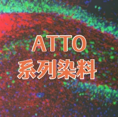 ATTO系列染料